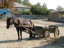 Venkovské taxi, Moldávie